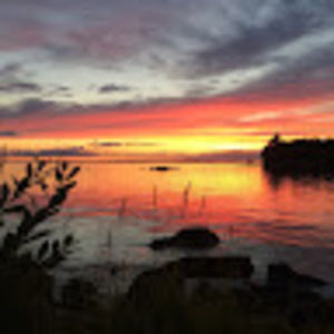 Meet your Posher, Anson